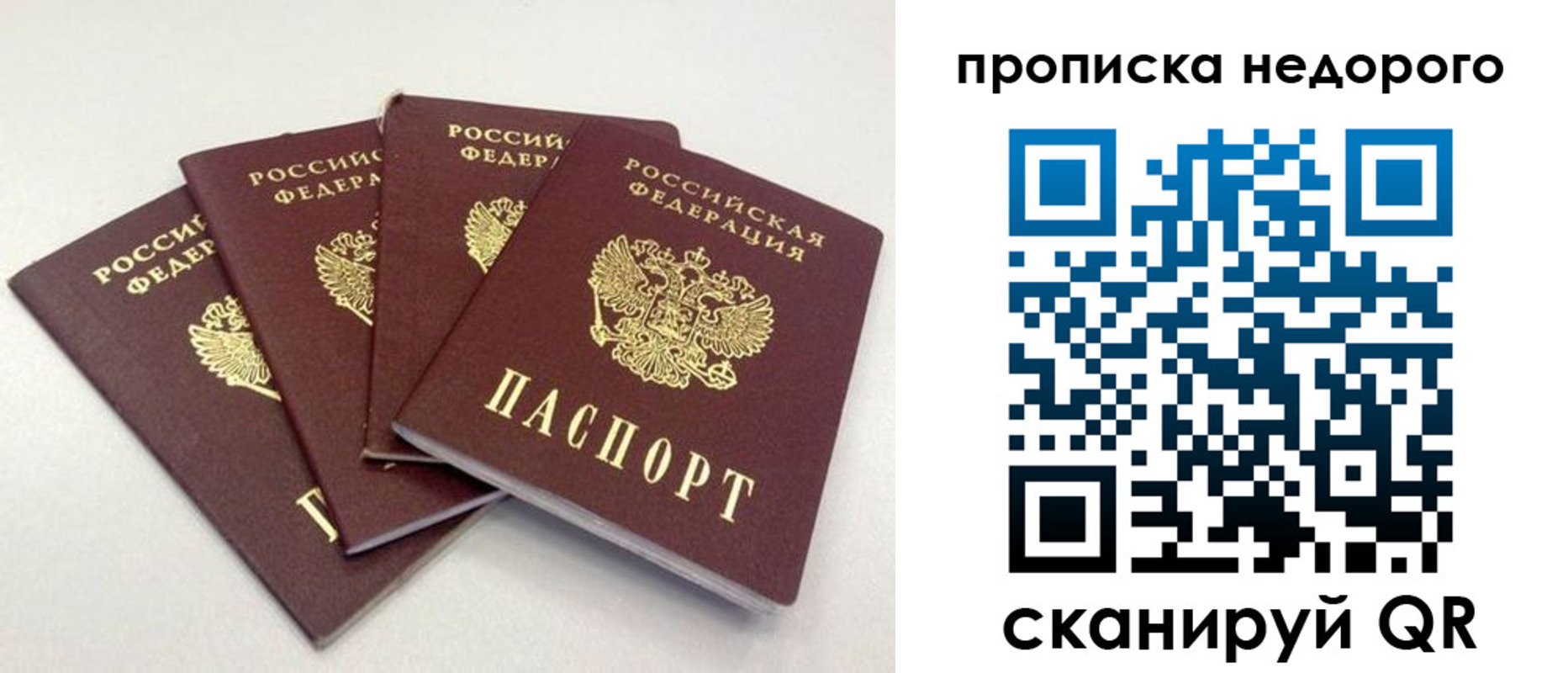 прописка законно в Николаевске